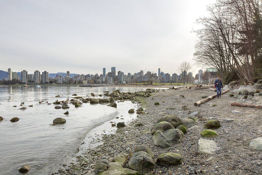 A view from Kitsilano Beach of downtown Vancouver, British Columbia, Canada, March 20, 2017. (Jeremy Bittermann / The New York Times)