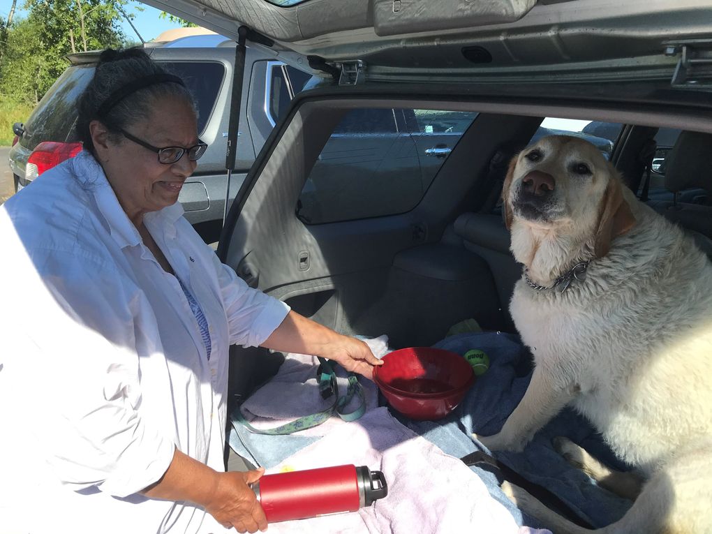Dji Reinhard, who lives in Ballard, with her dog Captain at Magnuson Park. (Dan Beekman / The Seattle Times)
