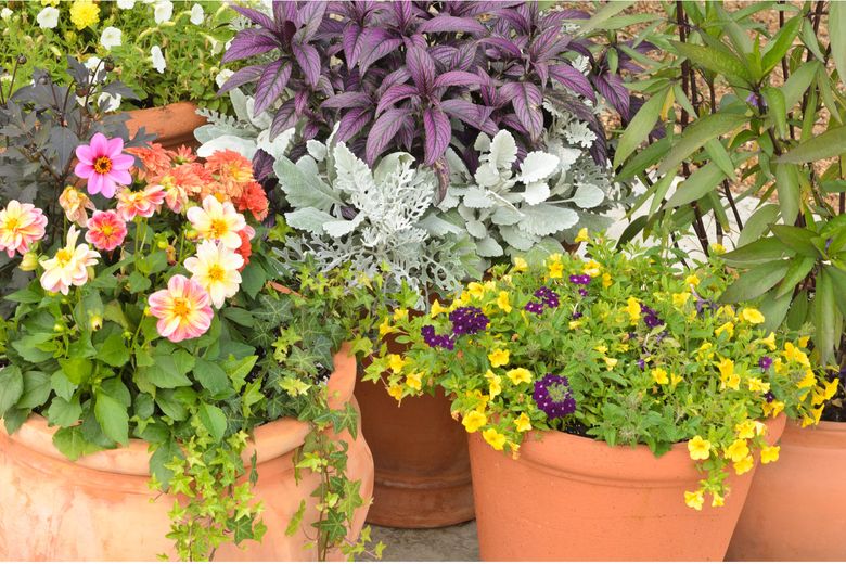 Planters can transform your outdoor space. Here's how to use them