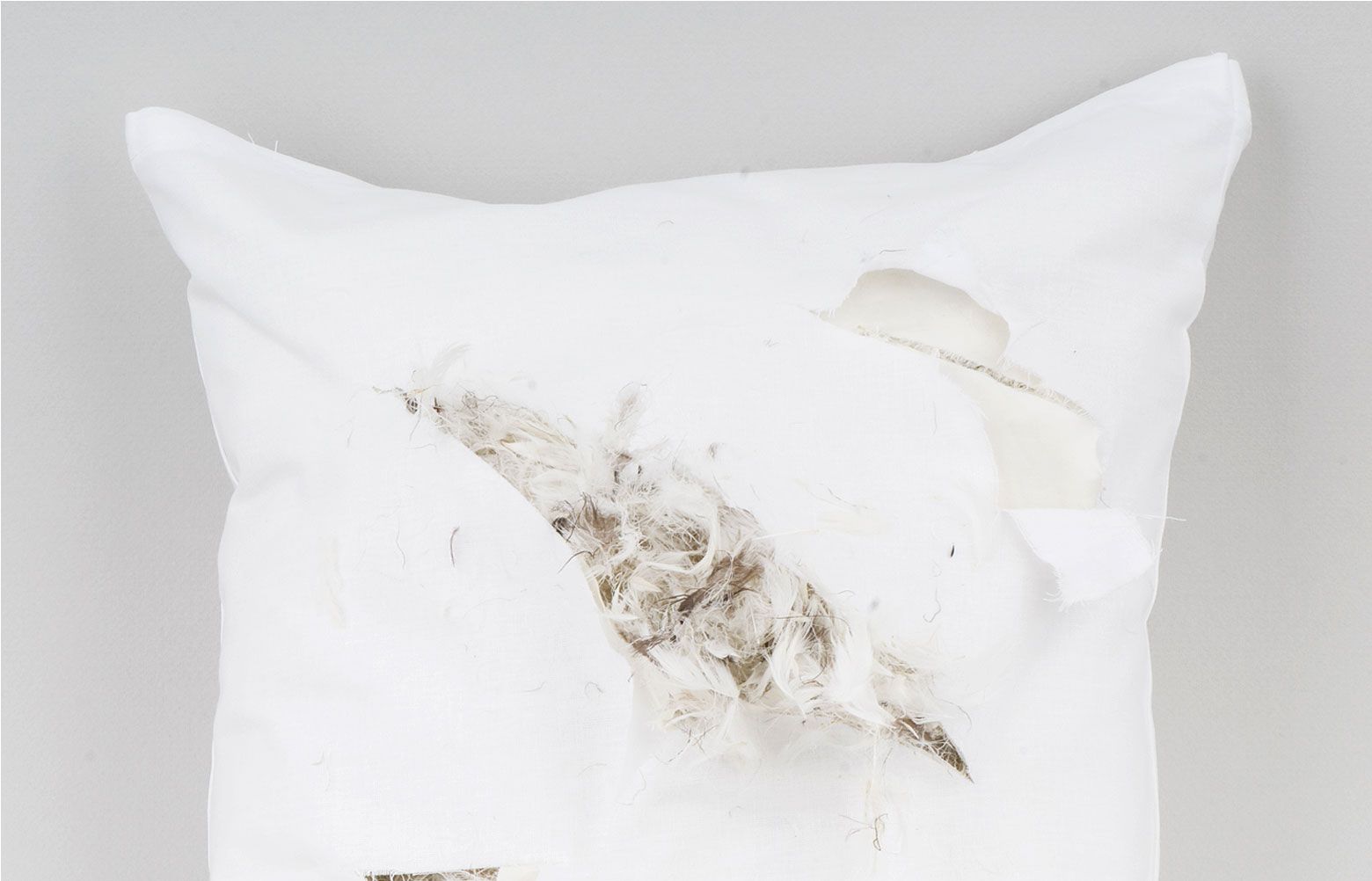 Dry clean feather pillows sale