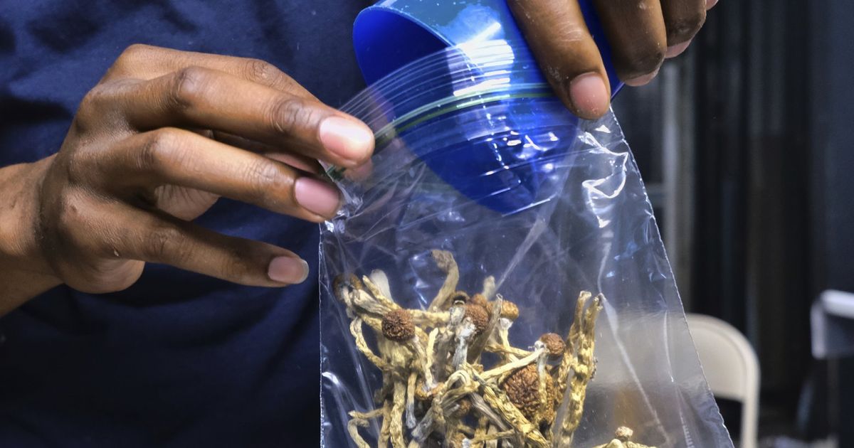 What if Seattle decriminalized magic mushrooms? City Council wants to
