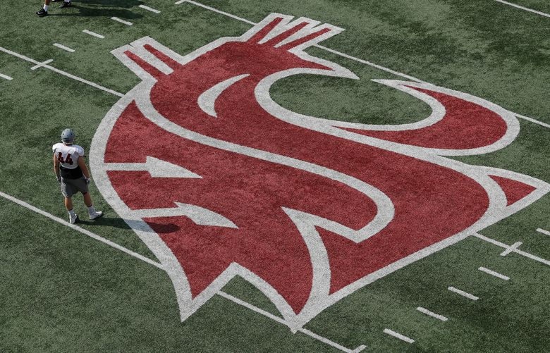 Washington State defensive lineman Logan Tago stands near the WSU Cougars logo on a practice field during NCAA football practice, Thursday, Aug. 16, 2018, in Pullman, Wash. (AP Photo/Ted S. Warren)