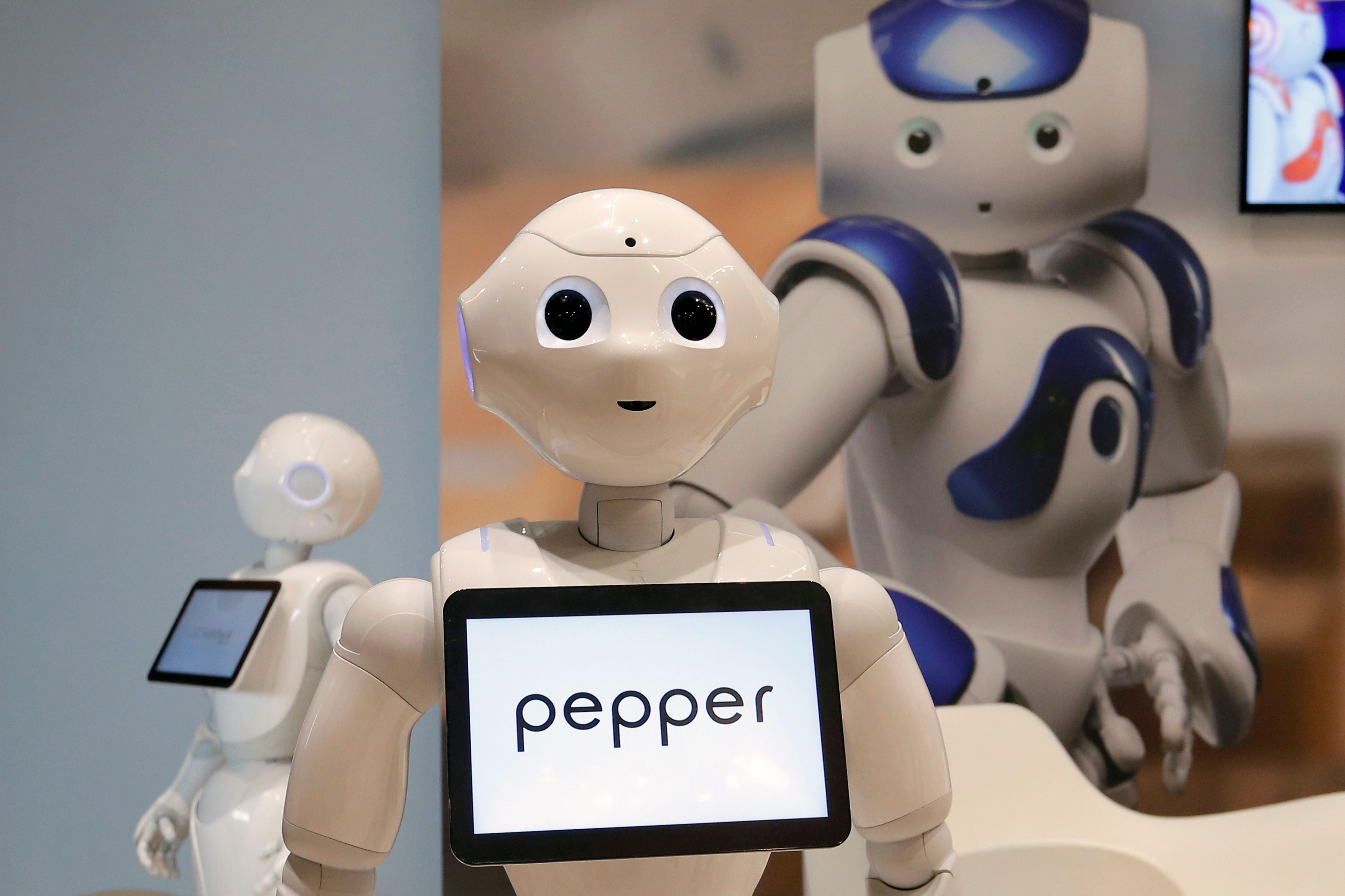 Pepper ibm store