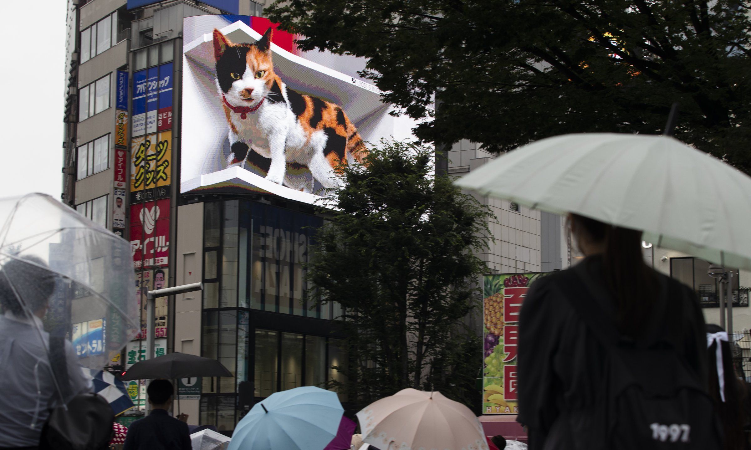 A massive digital cat is melting hearts (and napping a lot) in