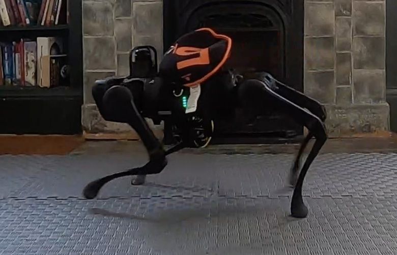 Facebook AI researchers programmed a four-legged robot to adapt to new environments in fractions of a second. MUST CREDIT: Facebook.