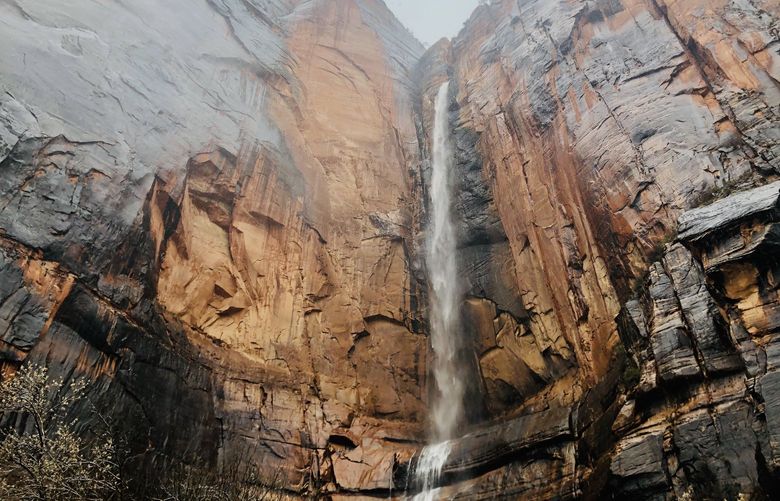 In 2019, Zion National Park welcomed nearly 4.5 million visitors, an uptick from 2018 that dropped to 3.59 million visitors in 2020.