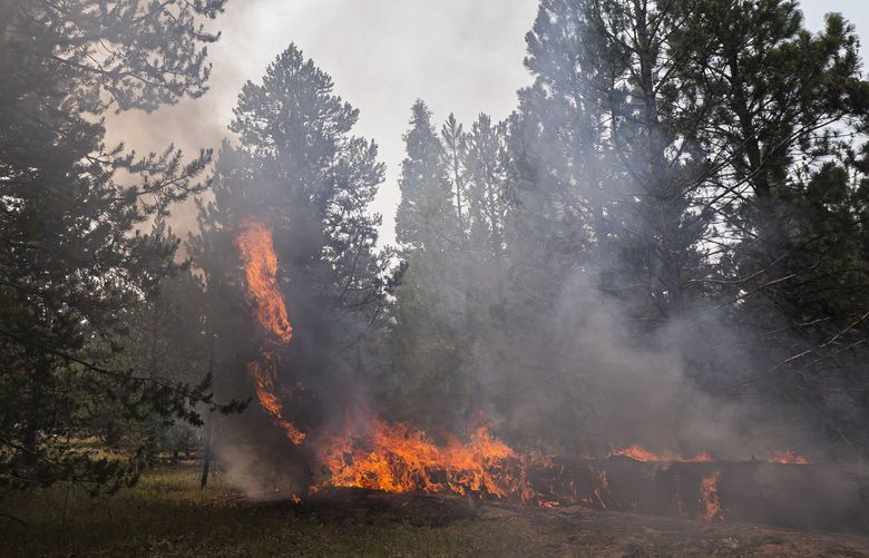 A dead log burns near a containment line on the Northwest edge of the Bootleg Fire on Friday, July 23, 2021, near Paisley, Ore. (AP Photo/Nathan Howard) ORNH203 ORNH203