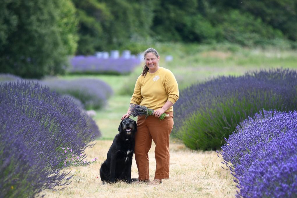 Jordan Schiefen and her dog, Dash, at Jardin du Soleil Lavender Farm in Sequim. The Schiefen family happened to visit Sequim during the Lavender Festival 10 years ago — and bought the farm that day. (JiaYing Grygiel)