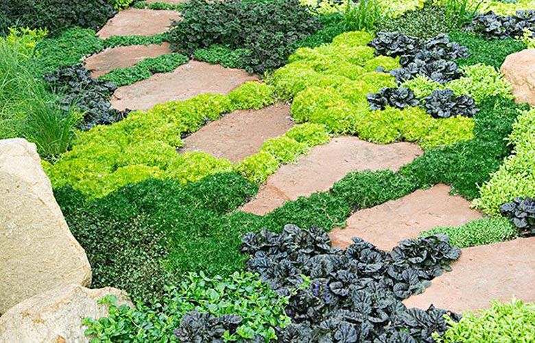 1989年Ground Cover Plants 地被植物 造園 ランドスケープ Garden expert on establishing ground cover, eradicating vines and