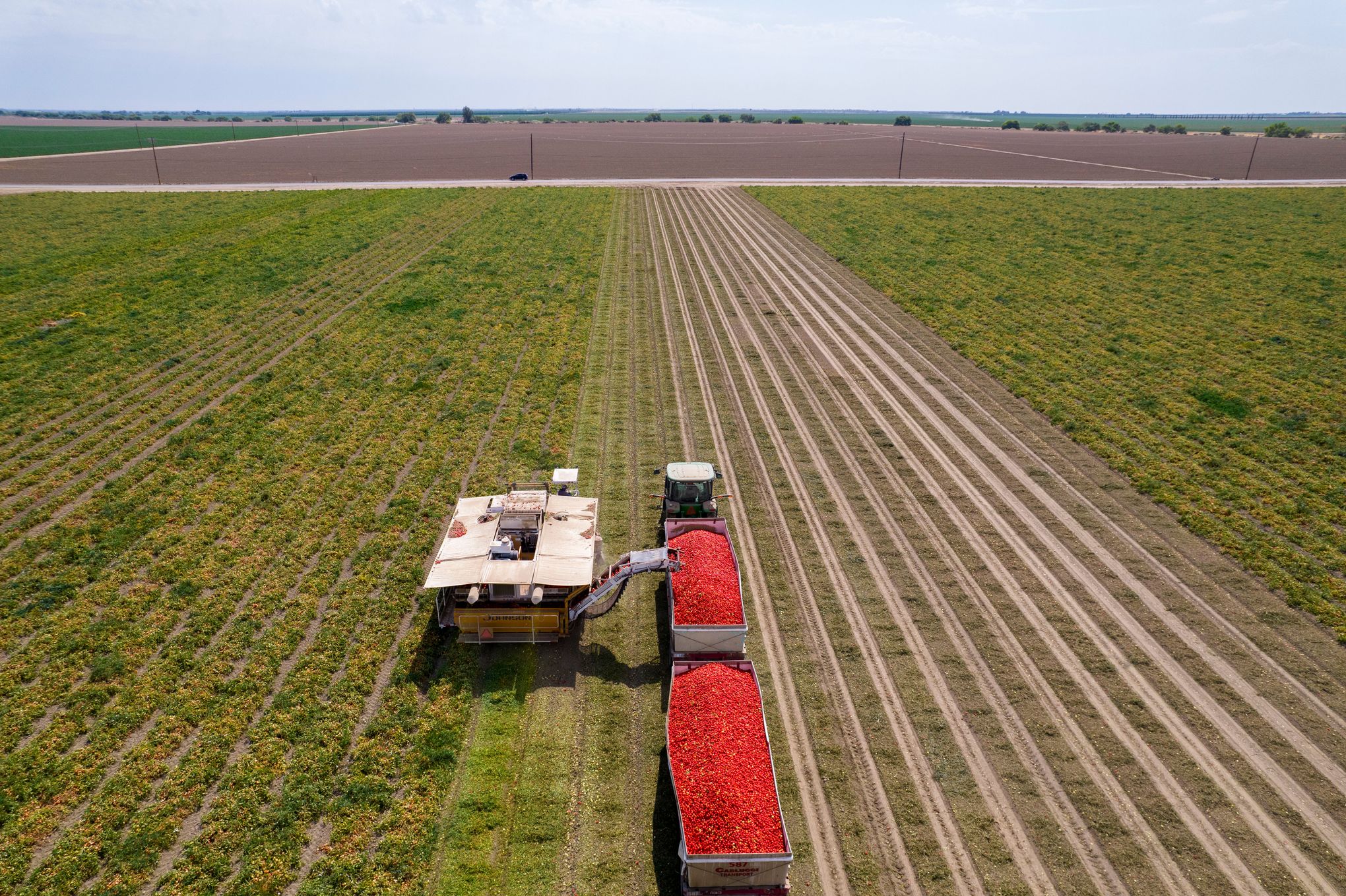 Flying tomato' hits town; talks farming – East Bay Times