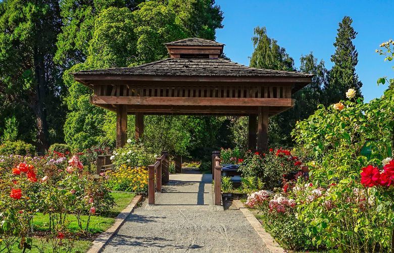 The Point Defiance Rose Garden, which includes over 1,500 rose bushes and an herb garden right next door – the perfect spot to sit and rest with your special someone.