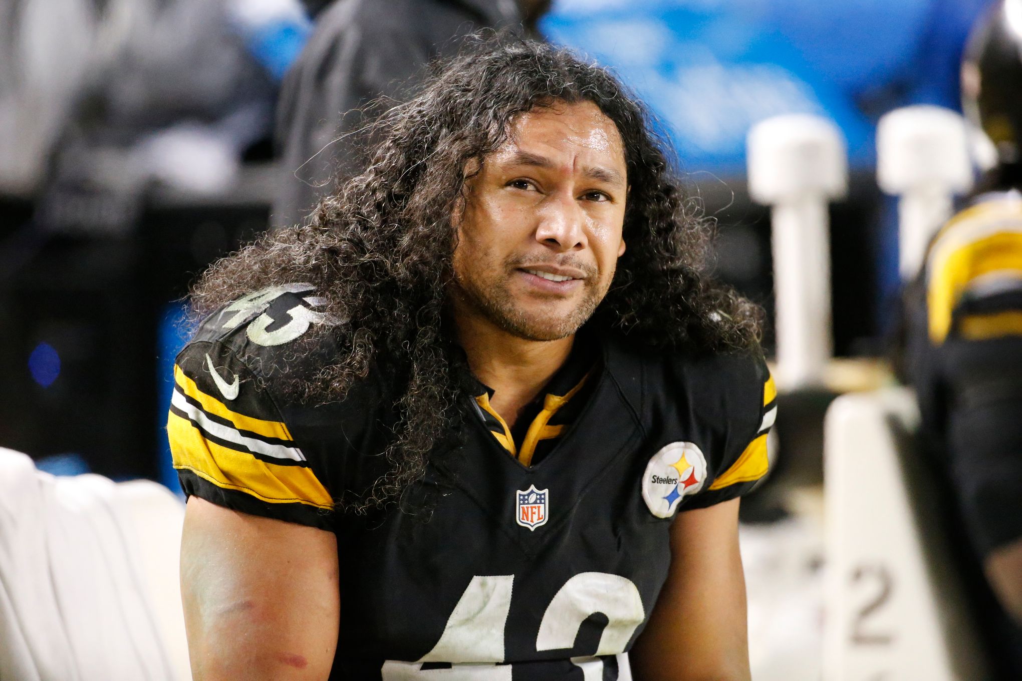 Troy Polamalu, 2007 NFL Pro Bowl Game Editorial Photography - Image of  long, bowl: 170153347