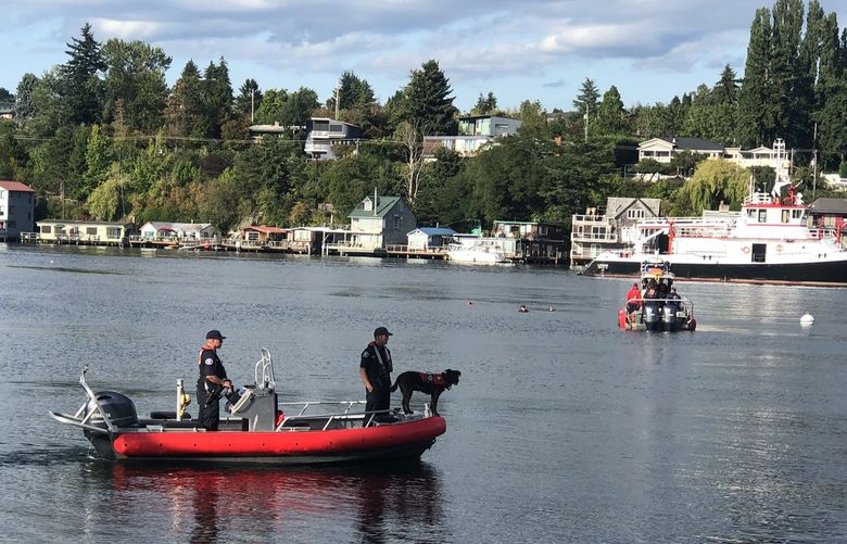 A paddleboarder, believed to be a 46-year-old woman, went missing Sunday afternoon. People on shore called 911 after seeing a paddleboarder fall into the water and never resurface in the Lake Washington Ship Canal just west of the Hiram M. Chittenden locks and Salmon Bay Bridge. Rescue swimmers, divers and a boat crew did not find anyone after an hour of searching.
