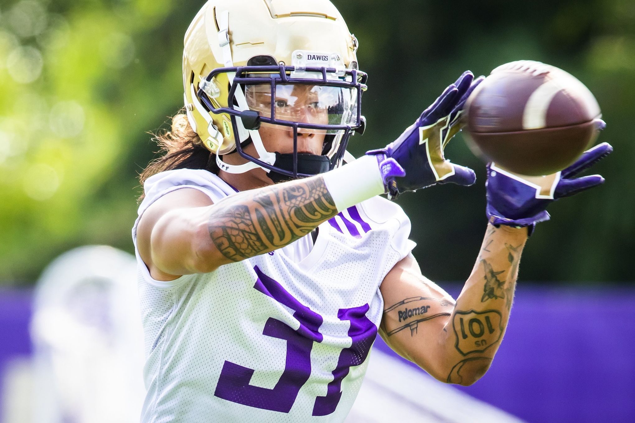 NCAA - University of Washington Football: Two Lower Level Corner