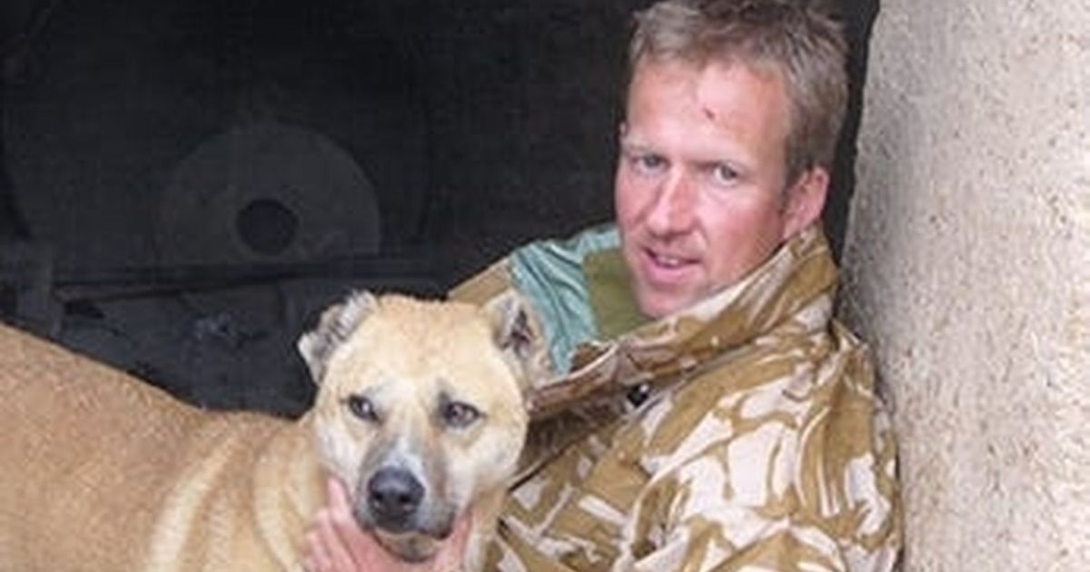 A Royal Marine rescued animals from Afghanistan in a mission dubbed 'Operation Ark,' but his staff was left behind | The Seattle Times