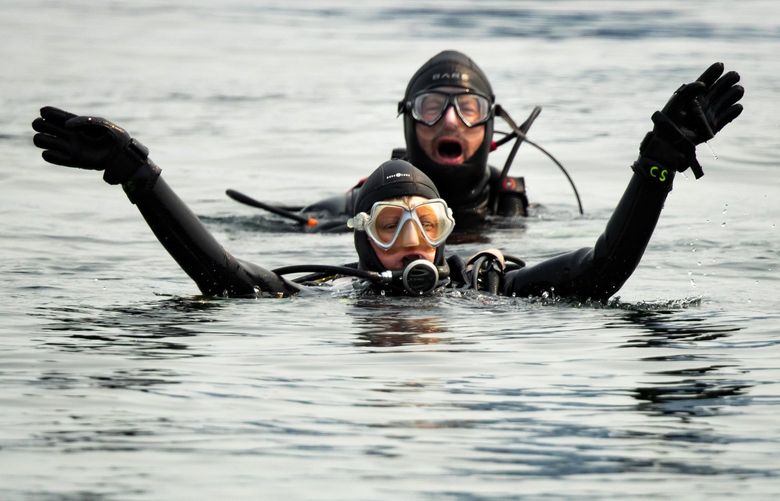 Divers on a leisure dive wave their arms, saying “Call 911!” after finding the body of a missing diver at cove 2, off Seacrest Park in West Seattle, a popular spot for scuba diving, Sunday August 1, 2021. Seattle police and fire responded in the same spot to a report of a missing student diver after 10:00 PM last night, but police ended their recovery response unsuccessfully after 1:00 AM. Seattle Fire recovered the body of a female diver in her 30’s, approximately 35 feet down, where the private divers found her. 217800