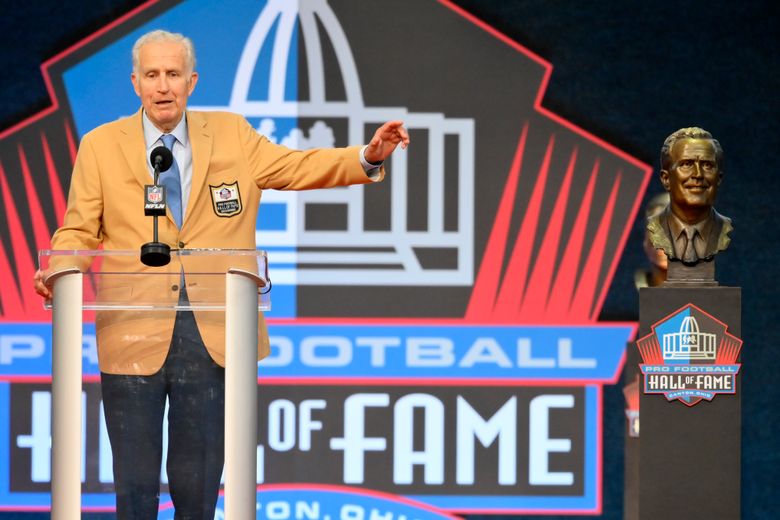 Pro Football Hall of Fame class has something for everybody