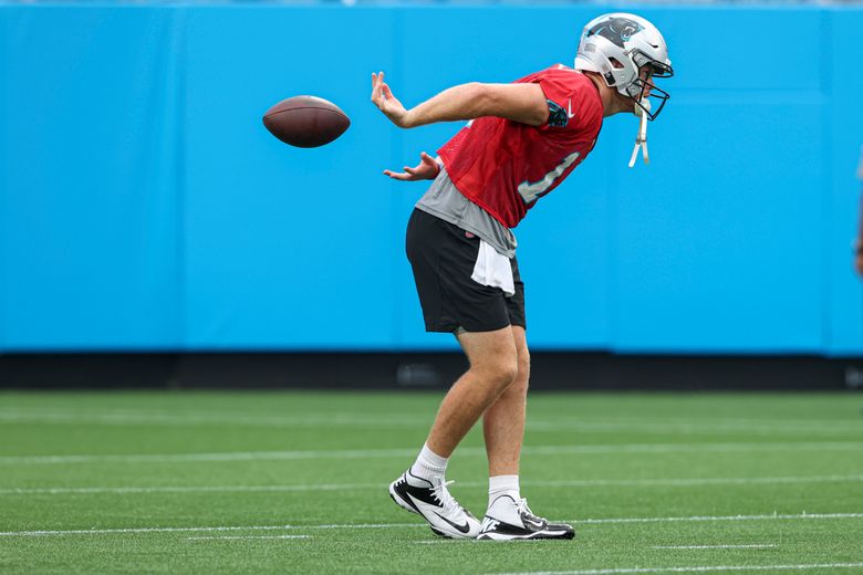 Carolina Panthers host Fan Fest at Bank of America Stadium in