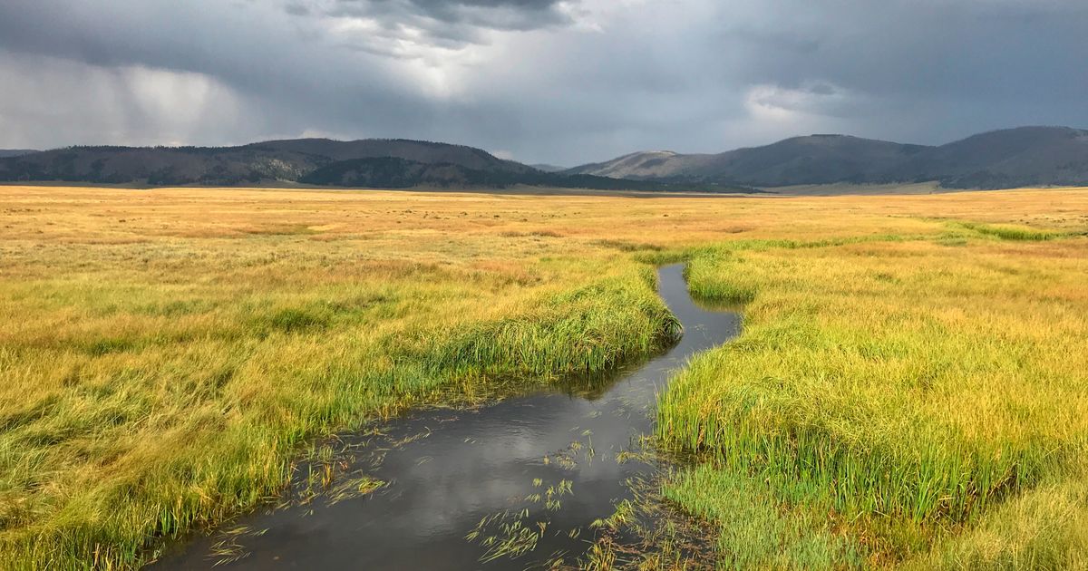 New Mexico governor joins US conservation challenge The Seattle Times