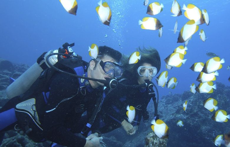 **FOR IMMEDIATE RELEASE** In this April 2004 photo provided by the Guam Visitors Bureau & Oceanic USA, Hans and Sandy Ulrich watch as a school of pyramid butterfly fish swim by in Apra Harbor near Piti, Guam. Piti and Tumon Bay have become magnets for fish since Guam started enforcing marine preserve rules there and at three other points around the island four years ago. (AP Photo/Guam Visitors Bureau & Oceanic USA, Keith Ibsen)

NY416