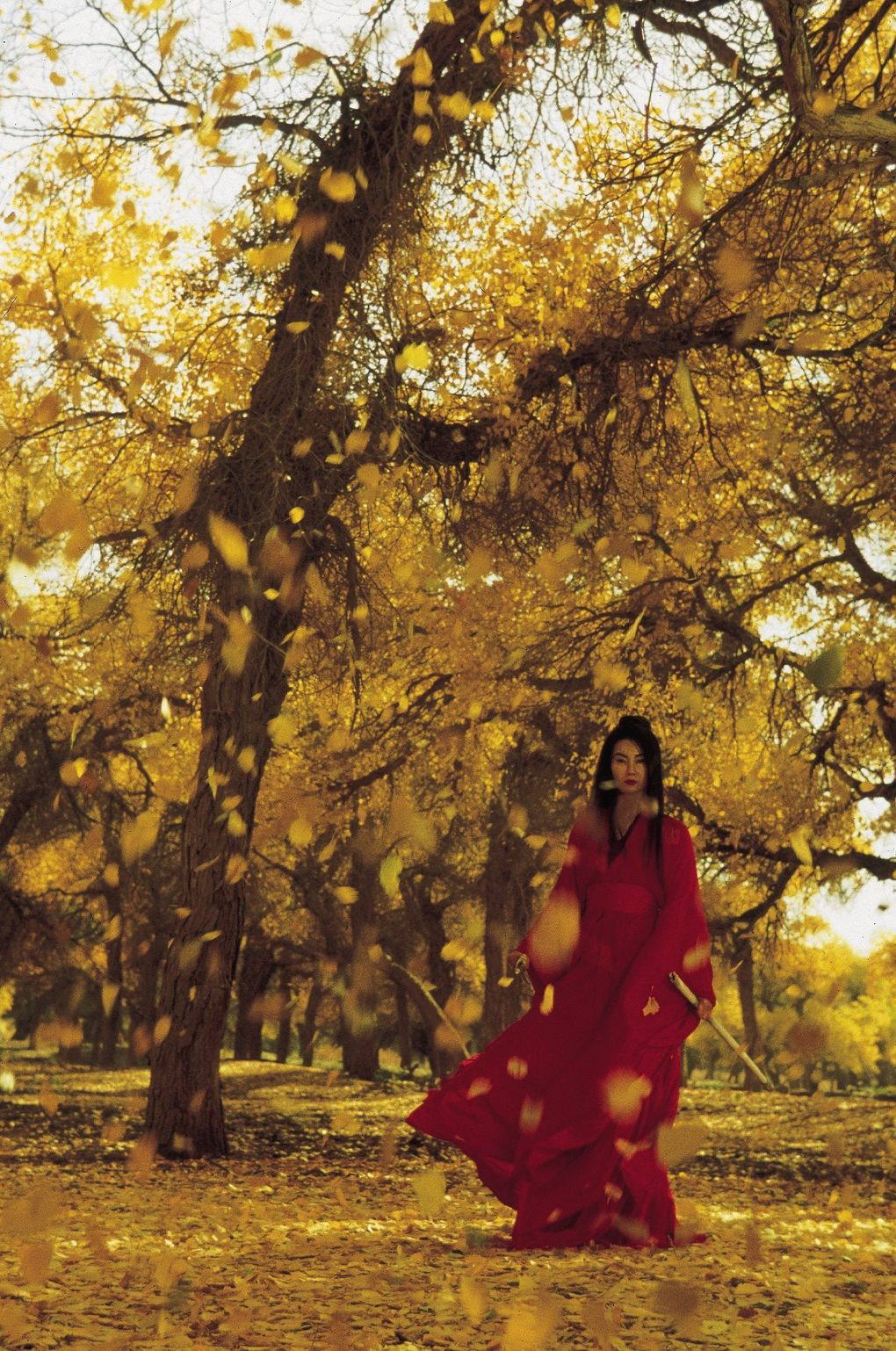 Maggie Cheung in Zhang Yimou’s “Hero.” (Miramax Films)