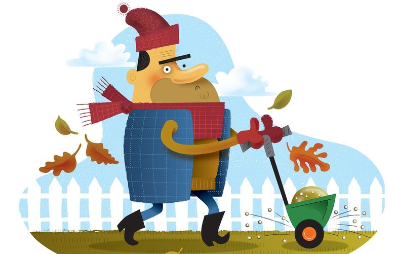 Autumn is the perfect time to feed your lawn and get it ready for a healthy start next spring. Credit: David Miller / The Seattle Times
This illustration originally ran in the 11/26/2017 issue of Pacific NW magazine
(posted online on 11/22/2017). —DM
