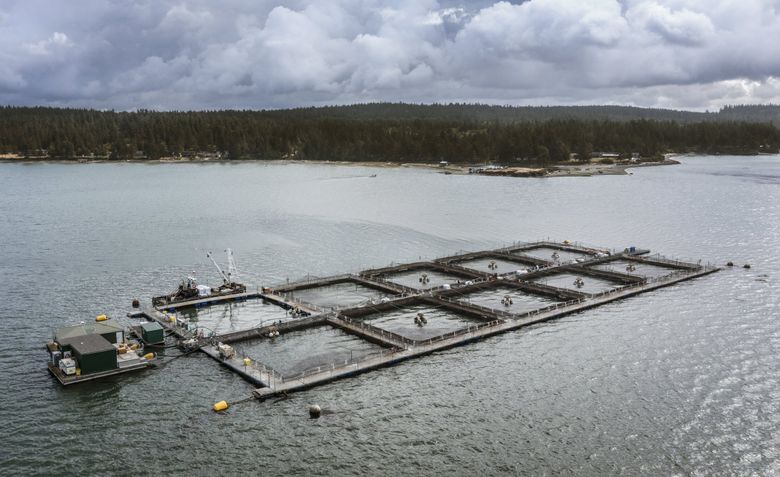 10,000 Lakes Aquaculture, Inc. – Certified Disease Free Fish Farm