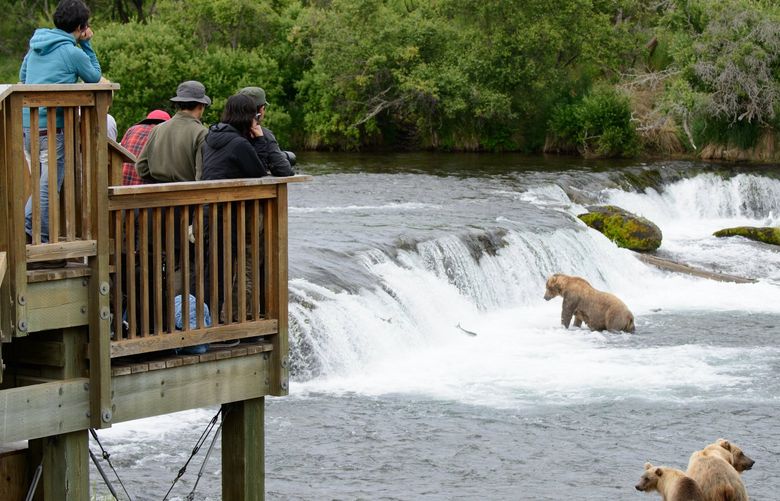 FILE — A platform along the Brooks River in Katmai National Park and Preserve in Alaska allows viewers to safely watch the park’s brown bears on July 21, 2015. Three men were each charged with entering, in 2018, a closed area at Katmai National Park and Preserve, disorderly conduct that created hazardous conditions, and approaching within 50 yards of a large mammal at the national park, the U.S. attorney’s office for the District of Alaska said in a statement on Thursday, Sept. 23, 2021. (Mark Meyer/The New York Times) XNYT20 XNYT20