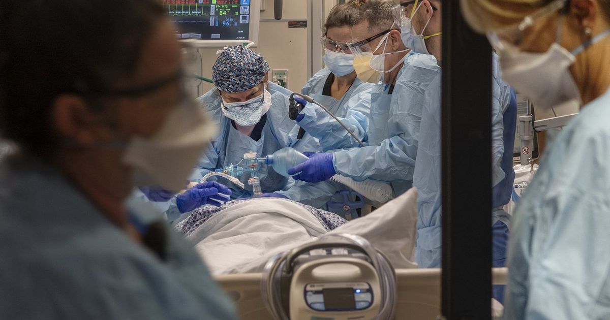 Red COVID: In U.S., the coronavirus’ partisan pattern is growing more extreme – The Seattle Times Red COVID: In U.S., the coronavirus’ partisan pattern is growing more extreme – The Seattle Times