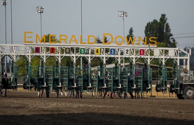 AUBURN- LONGACRES MILE – 081521
Horses and jockeys make their way to the gate at the 86th Longacres Mile Handicap on Sunday, August 15, at Emerald Downs in Auburn, WA.