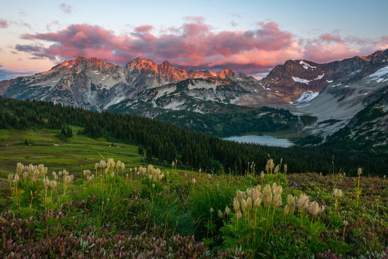 For purple mountain majesties - Shibe Vintage Sports