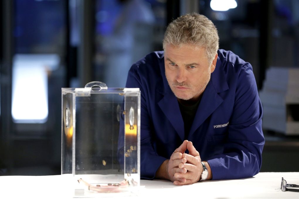 William Petersen is back in “CSI: Vegas,” the sequel to CBS’ “CSI: Crime Scene Investigation.” (Sonja Flemming / CBS)