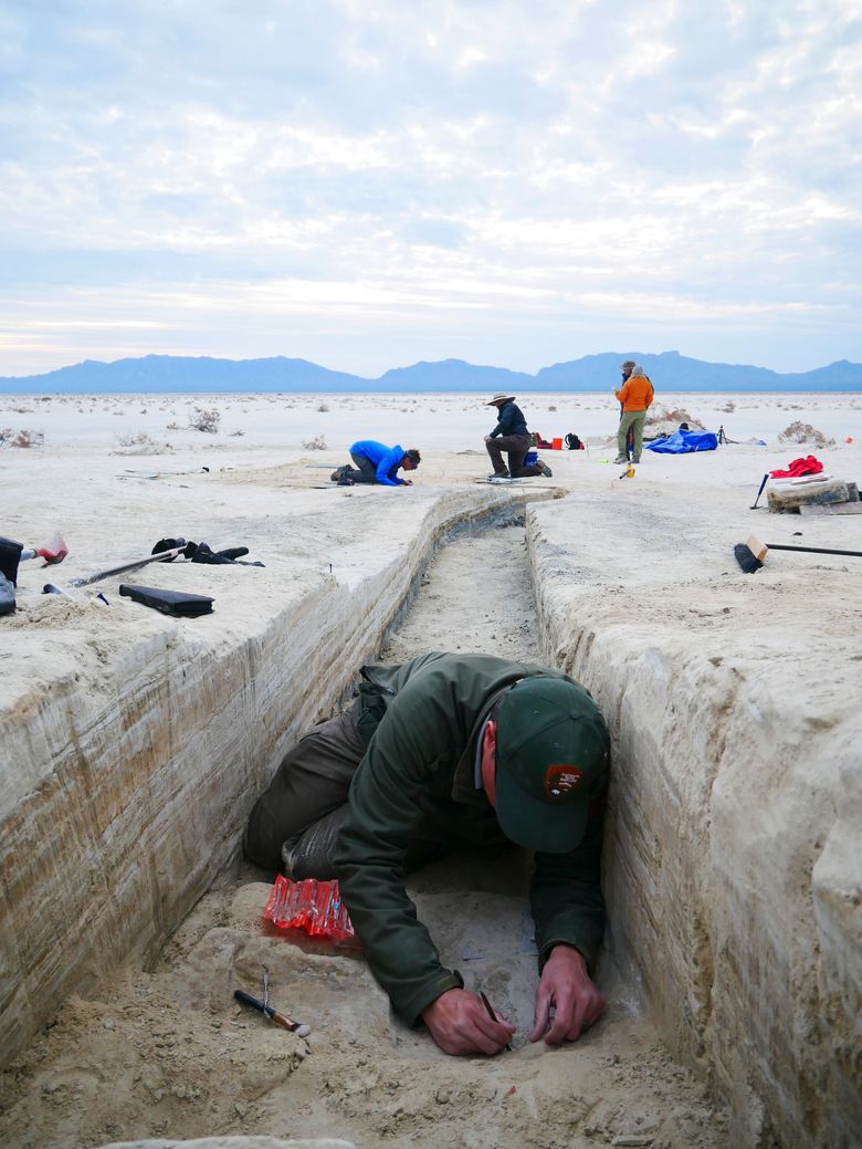Ancient footprints push back date of human arrival in the Americas | The  Seattle Times
