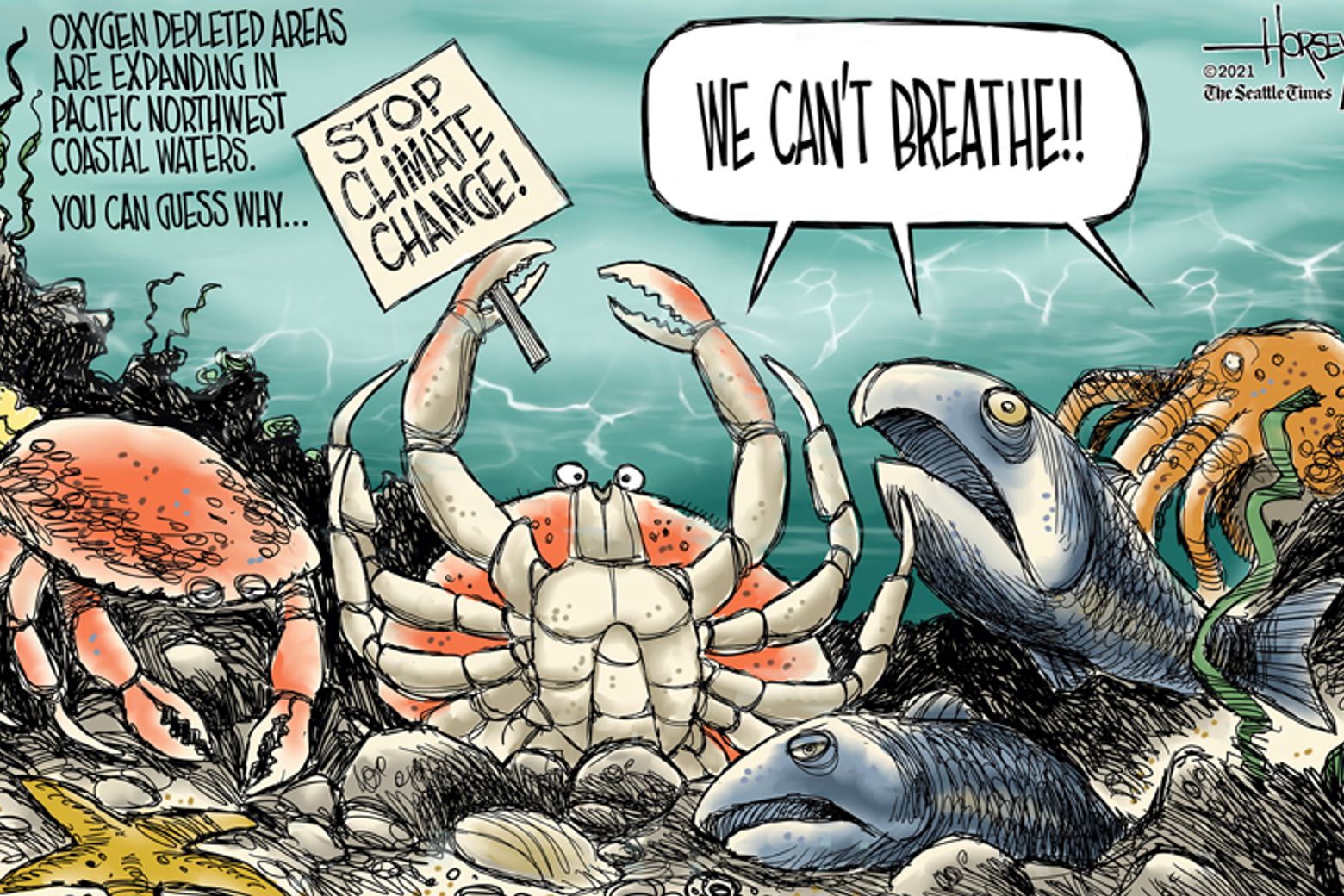 A cry for help | The Seattle Times A cry for help | The Seattle Times