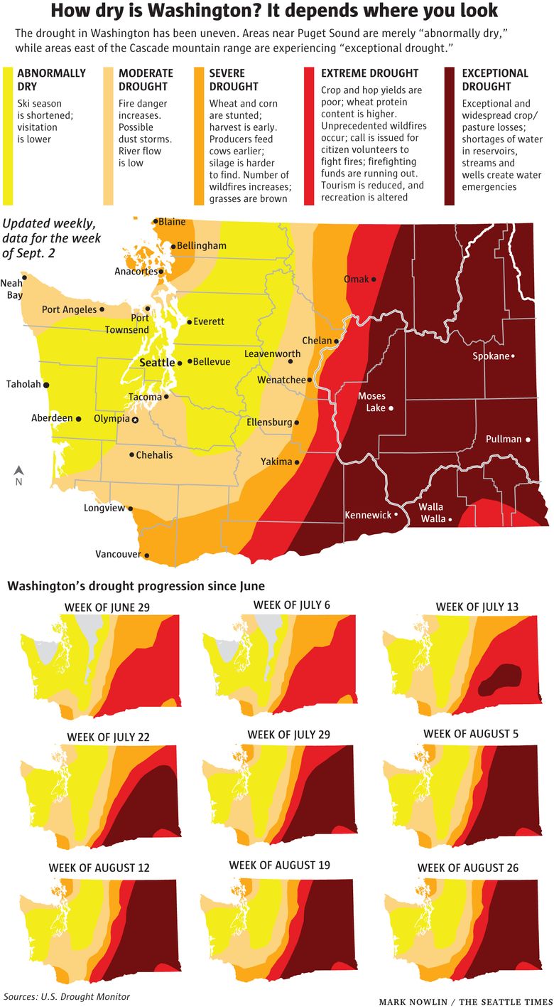 Fightin' to end the drought – The Hawk Newspaper