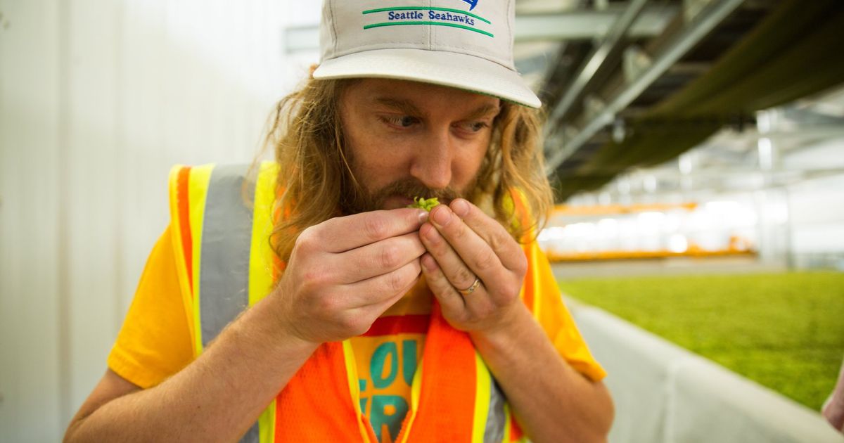 Seattle’s Cloudburst Brewing named ‘Brewery and Brewer of the Year’ at