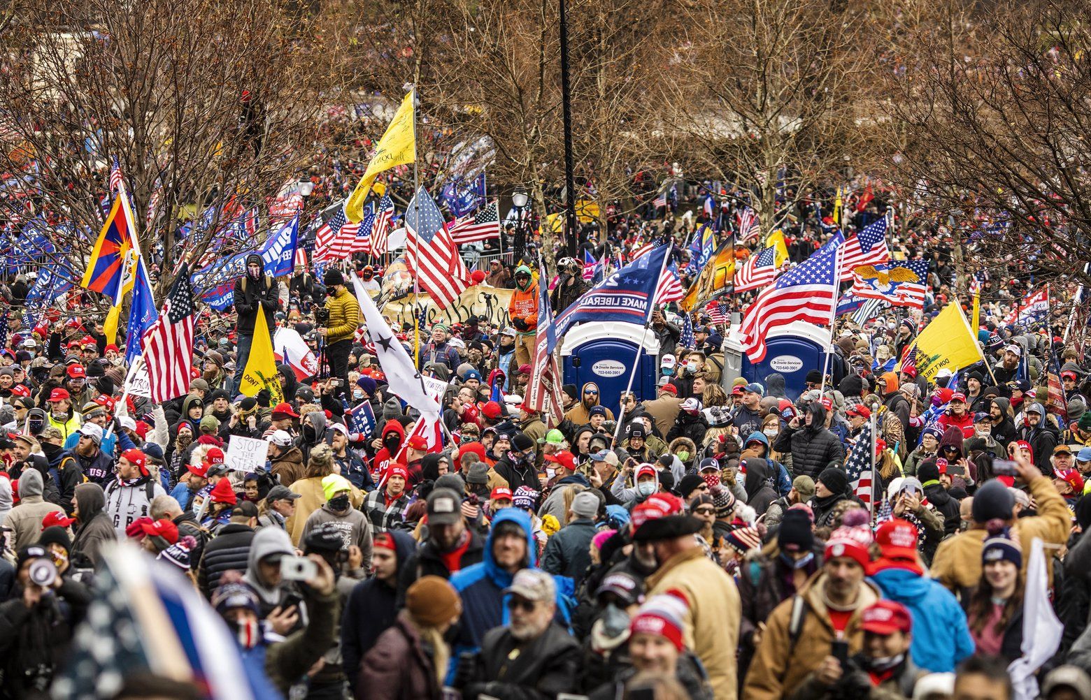 In Milestone Deal, Proud Boy Pleads Guilty In Capitol Riot | The ...