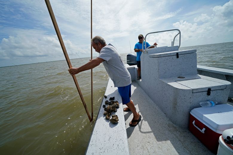 Louisiana's struggling seafood industry teetering after Ida