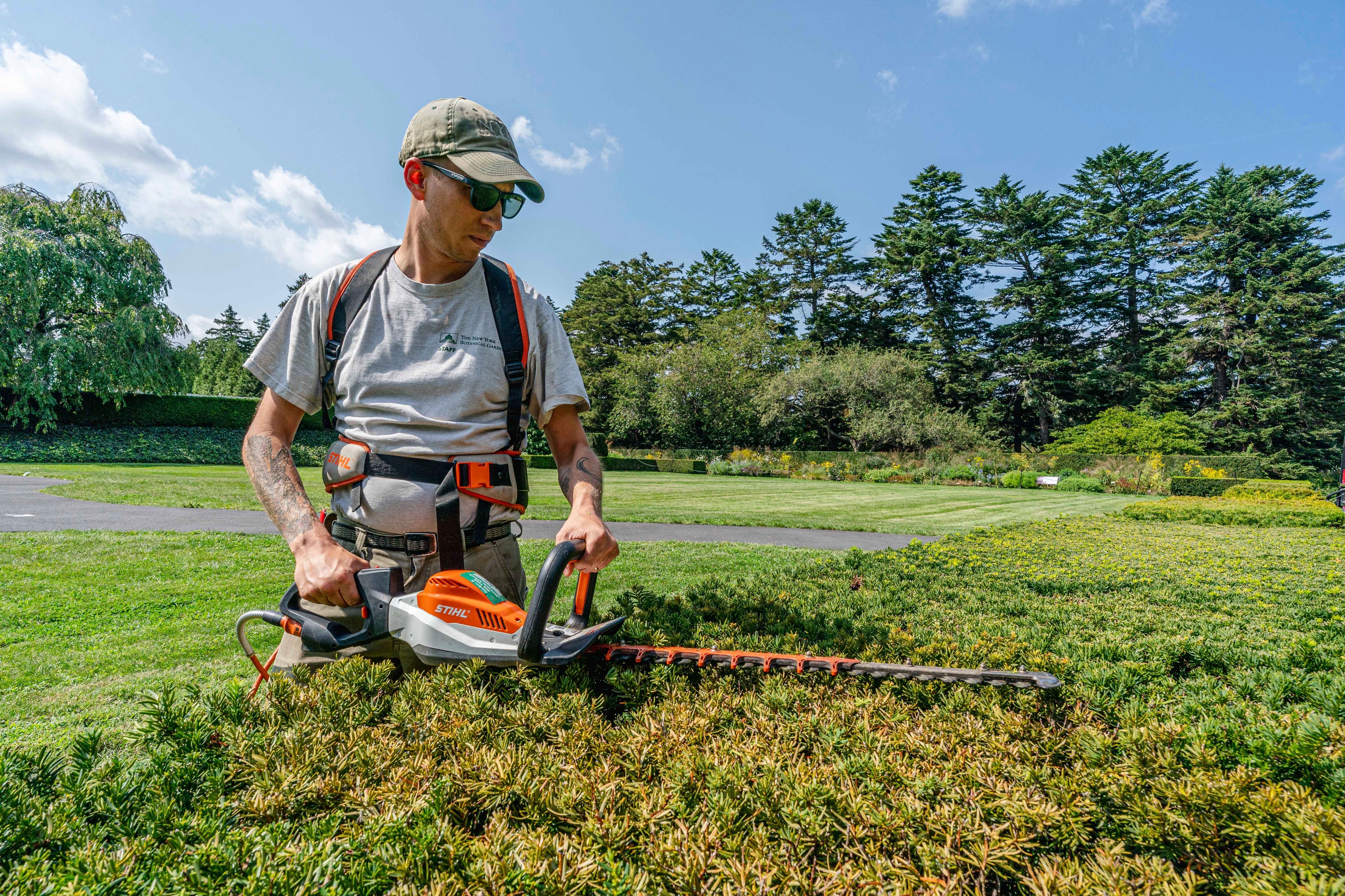 Blowers mowers and more American yards quietly go electric The