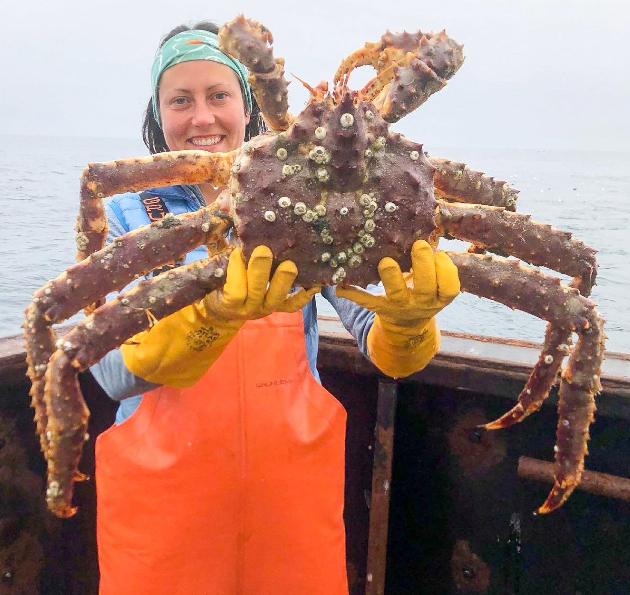 reagere Egypten dækning Valuable crab populations are in a 'very scary' decline in warming Bering  Sea | The Seattle Times