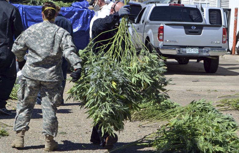 FILE â€” In this April 14, 2016, file photo, investigators load marijuana plants onto a Colorado National Guard truck outside a suspected illegal grow operation in north Denver. A county in southern Oregon says it is so overwhelmed by an increase in the number and size of illegal marijuana farms that it declared a state of emergency Wednesday, Oct. 13, 2021, appealing to the governor and the Legislature’s leaders for help. (AP Photo/P. Solomon Banda, File) RPPB102 RPPB102