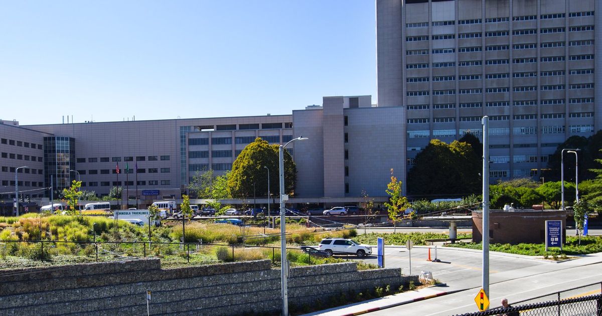 decline-in-covid-cases-slows-as-washington-state-hospitals-sort-through