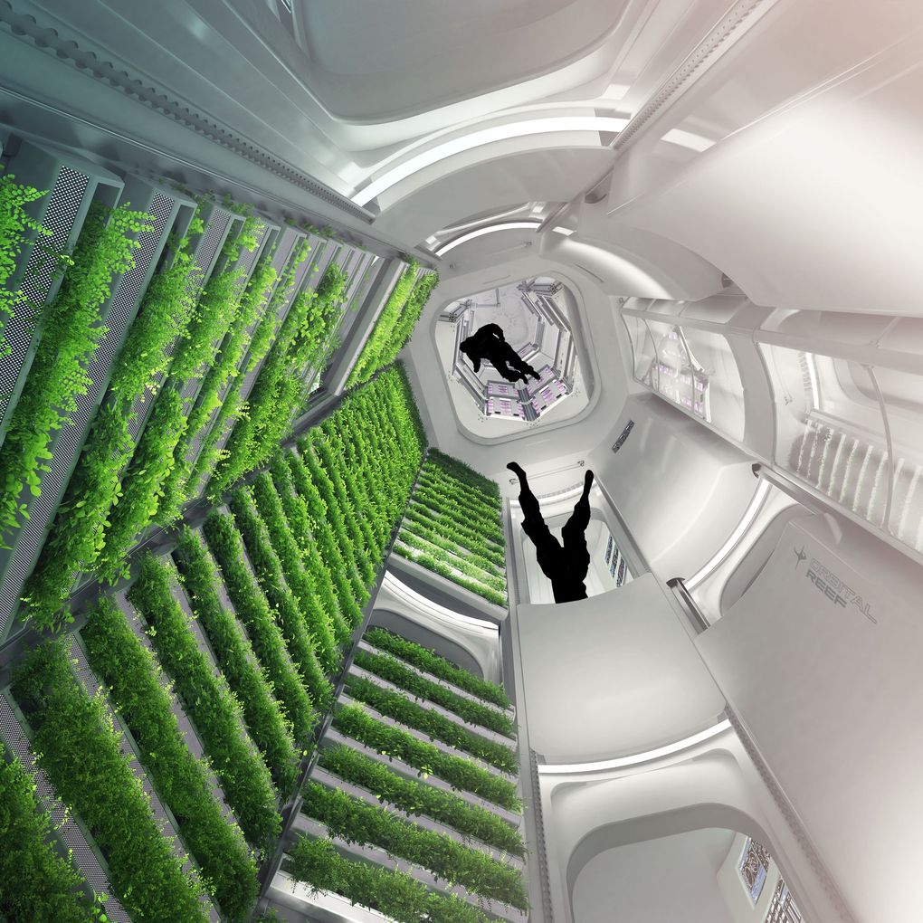 A concept image of the planned space station shows crops being grown inside the module being developed by Sierra Space. (Orbital Reef)