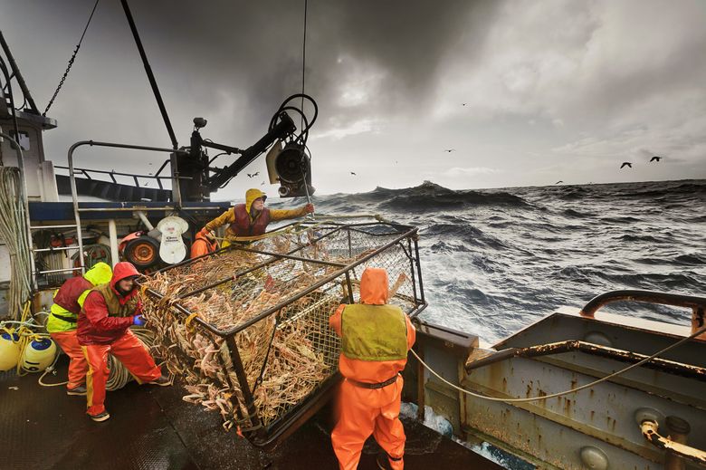 Eyewitnesses to disaster: Commercial fishermen implore action on the  collapse of Alaska ecosystems