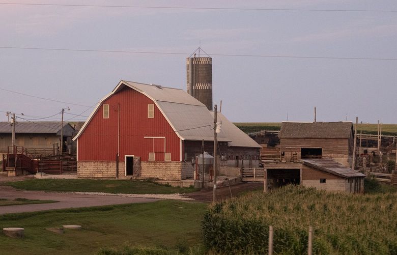 A farm in Maurice, Iowa, July 26, 2020. An Iowa grain cooperative, NEW Cooperative, experienced ransomware assaults in September 2021. A team of private security sleuths, in their first public detailing of their efforts, discuss how they used cybercriminals’ mistakes to quietly help victims recover their data. (Jenn Ackerman/The New York Times)