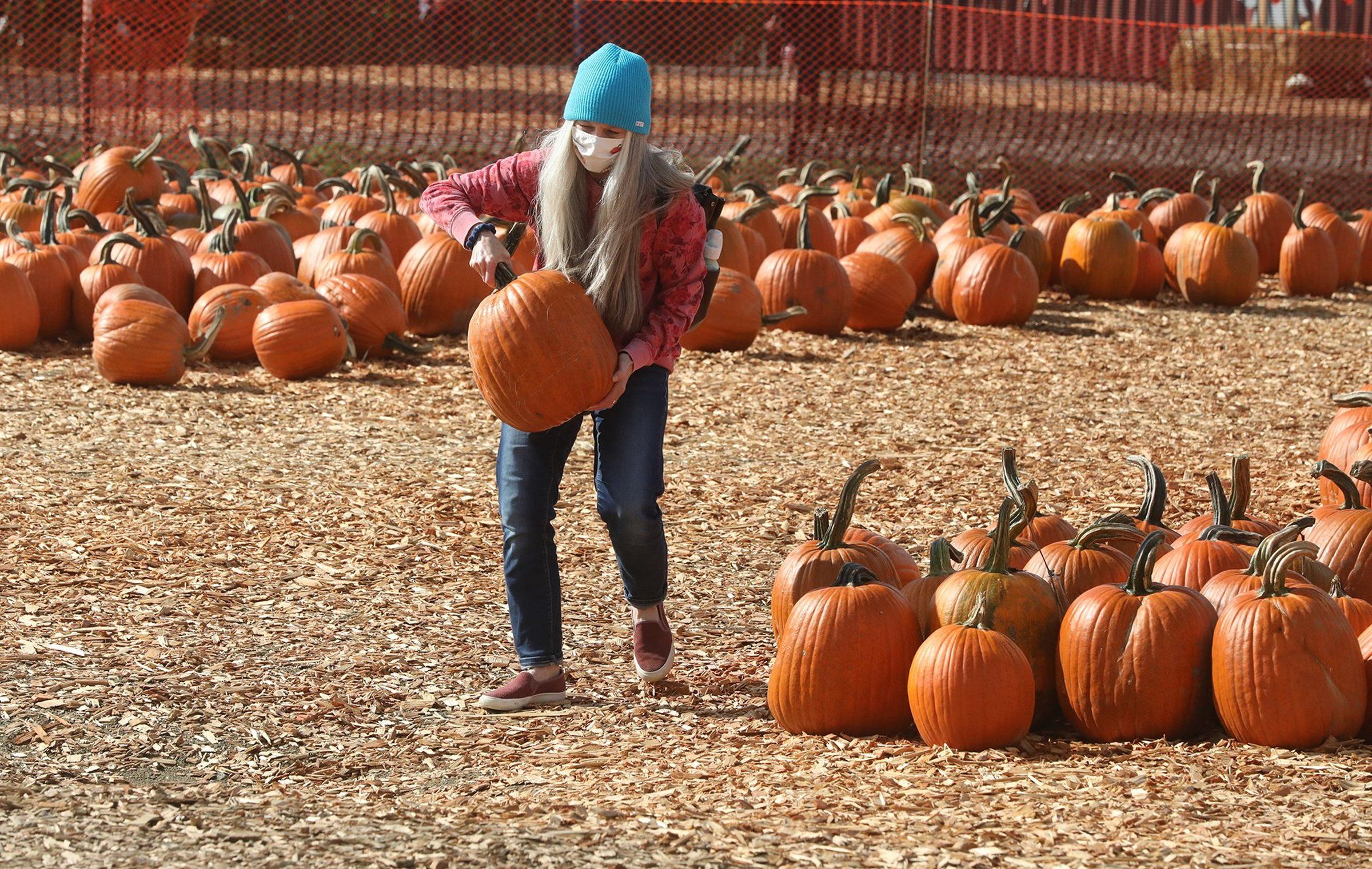 pumpkin patch slingshot