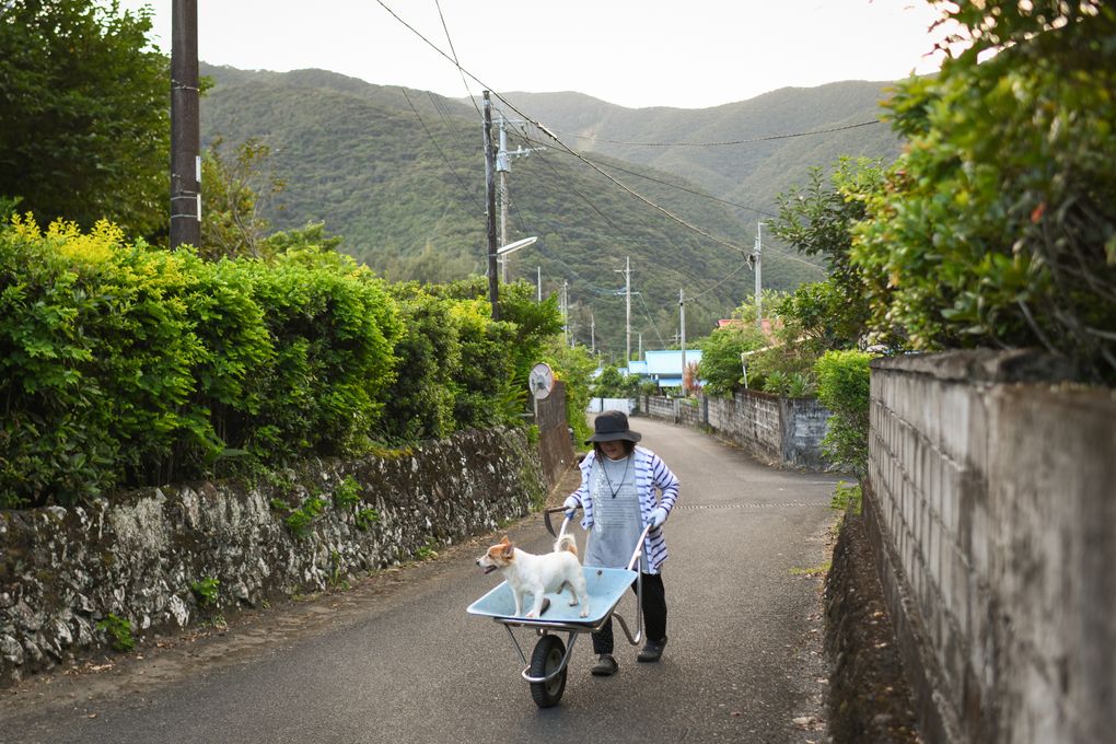 Residents in Katoku have to contend with deeper forces remaking rural Japan: climate change, aging populations and the hollowing-out of small towns. (Noriko Hayashi / The New York Times)