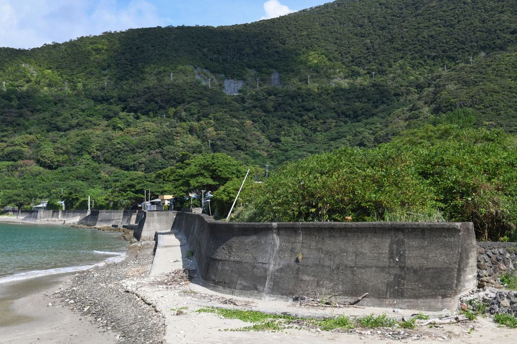 The seawall in Aminoko, Japan, a village near Katoku. (Noriko Hayashi / The New York Times)