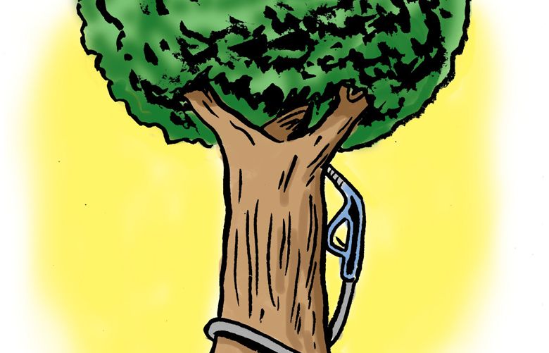 This artwork by Mark Weber relates to moves to expand the availability of green fuels.