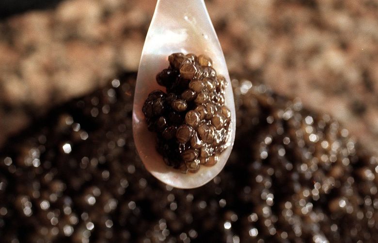 Russian beluga caviar from the city of Astrakhan. From a 1.8 kilo container at Seattle Caviar Company.  : CAVIAR : THEY’VE MADE IT THEIR BUSINESS TO EDUCATE – AND SUPPLY – LOCAL PALATES : ( 1 OF 2 )